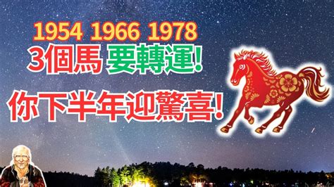 1978屬|【1978年 生肖】1978年生肖運勢搶先看！45歲屬馬者必讀！